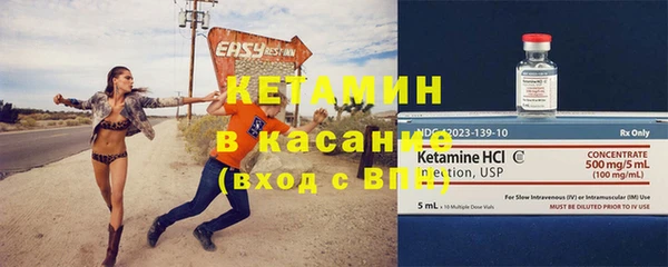 индика Осташков