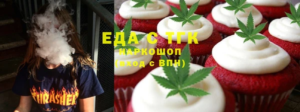 индика Осташков