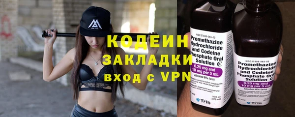 индика Осташков