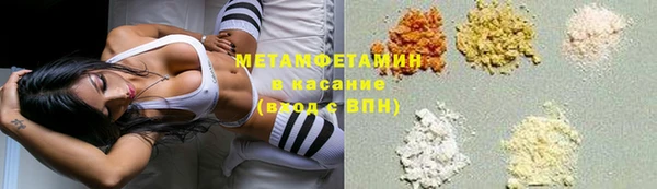 индика Осташков