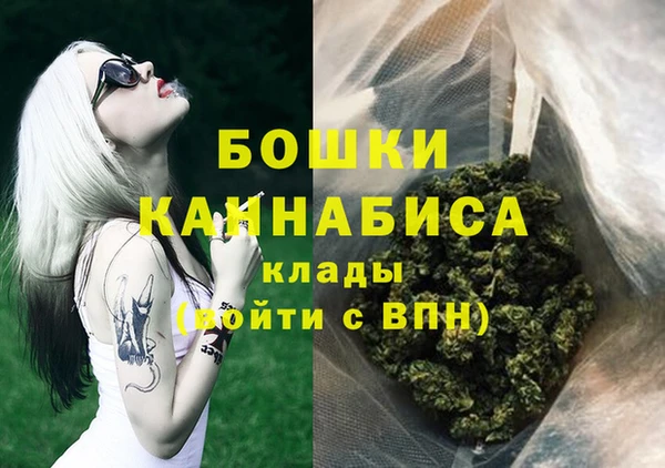 индика Осташков