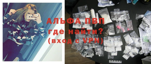 индика Осташков
