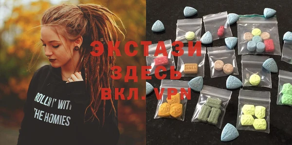 индика Осташков
