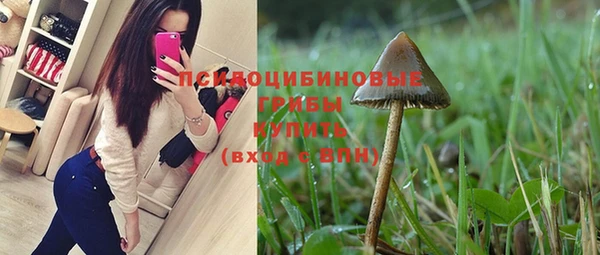 индика Осташков