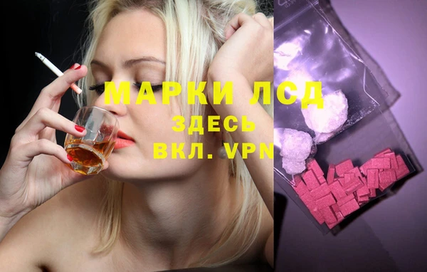 индика Осташков