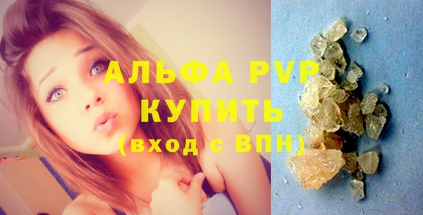 индика Осташков