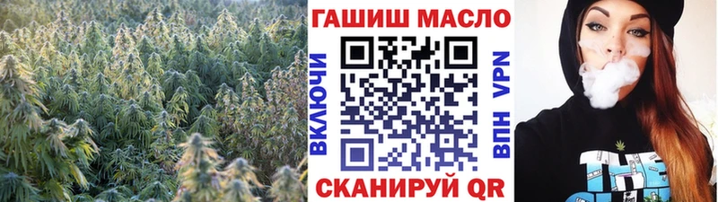 где можно купить наркотик Снежногорск MEGA ссылки ТГК THC oil