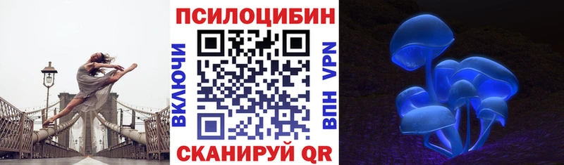 Псилоцибиновые грибы Psilocybine cubensis Снежногорск